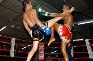 2946682891_545a6594e3